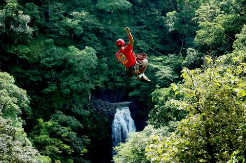 Tour de Canopy Roca Bruja